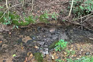 584 Groves Rd, Union Mills, NC 28167 - Photo 11