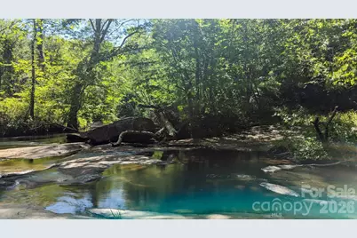 257 Roadrunner Circle, Lake Lure, NC 28746 - Photo 37