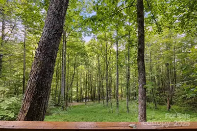 12215 Big Laurel Road, Marshall, NC 28753 - Photo 27