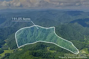 12215 Big Laurel Rd, Marshall, NC 28753 - Photo 5