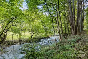 12215 Big Laurel Rd, Marshall, NC 28753 - Photo 3