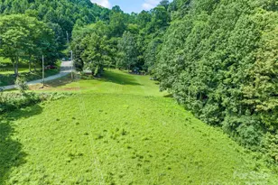 4828 Max Patch Rd, Clyde, NC 28721 - Photo 23