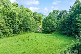 4828 Max Patch Rd, Clyde, NC 28721 - Photo 21