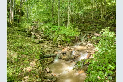 4828 Max Patch Road, Clyde, NC 28721 - Photo 11