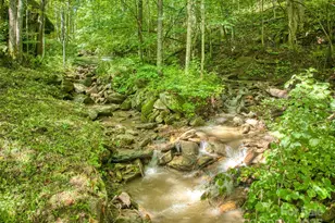 4828 Max Patch Rd, Clyde, NC 28721 - Photo 11