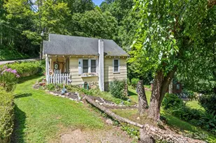 4828 Max Patch Rd, Clyde, NC 28721 - Photo 5