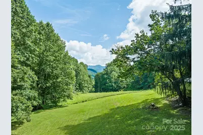 4828 Max Patch Road, Clyde, NC 28721 - Photo 9