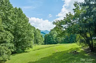 4828 Max Patch Rd, Clyde, NC 28721 - Photo 9