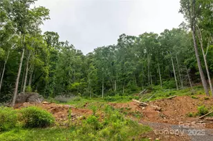 44 Deer Trl Dr, Burnsville, NC 28714 - Photo 11