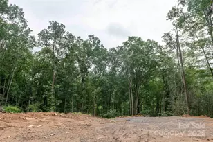 44 Deer Trl Dr, Burnsville, NC 28714 - Photo 25