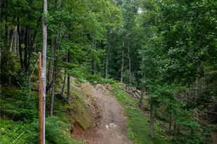 44 Deer Trl Dr, Burnsville, NC 28714 - Photo 5