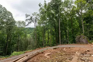 44 Deer Trl Dr, Burnsville, NC 28714 - Photo 23