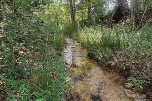 415 Reel Hollow Rd, Marion, NC 28752 - Photo 37