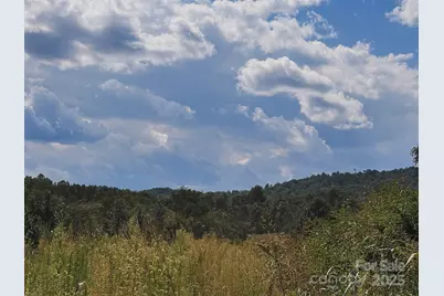 415 Reel Hollow Road, Marion, NC 28752 - Photo 43