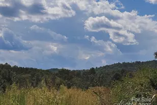 415 Reel Hollow Rd, Marion, NC 28752 - Photo 43