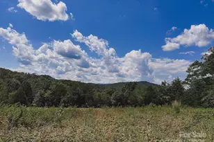 415 Reel Hollow Rd, Marion, NC 28752 - Photo 45