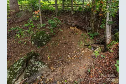 377 Plott Mountain Road, Waynesville, NC 28786 - Photo 23