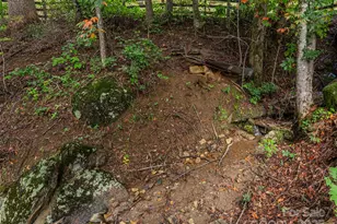 377 Plott Mountain Rd, Waynesville, NC 28786 - Photo 23