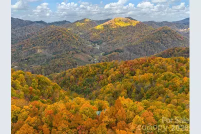 1036 Forces Of Nature Trail, Mars Hill, NC 28754 - Photo 35