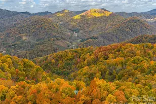 1036 Forces Of Nature Trail, Mars Hill, NC 28754 - Photo 35