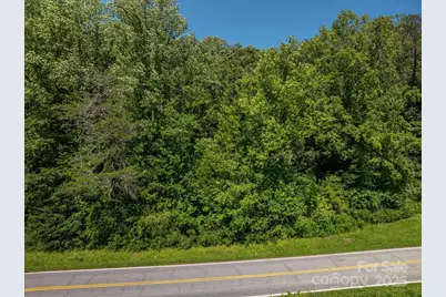 Lot 160 Coxe Road, Rutherfordton, NC 28139 - Photo 7