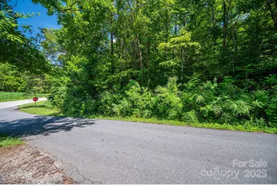 Lot 160 Coxe Road, Rutherfordton, NC 28139 - Photo 5