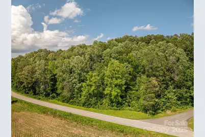 Lot 160 Coxe Road, Rutherfordton, NC 28139 - Photo 9