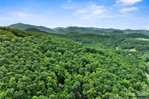 48 Buck Ridge Rd, Fairview, NC 28730 - Photo 37