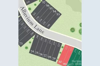 237 Alluvium Lane, Waxhaw, NC 28173 - Photo 27