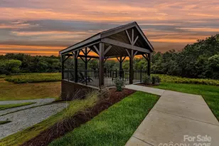 237 Alluvium Ln, Waxhaw, NC 28173 - Photo 31