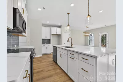 237 Alluvium Lane, Waxhaw, NC 28173 - Photo 7