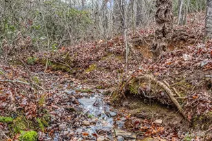 1217 Moore Rd, Tryon, NC 28782 - Photo 33