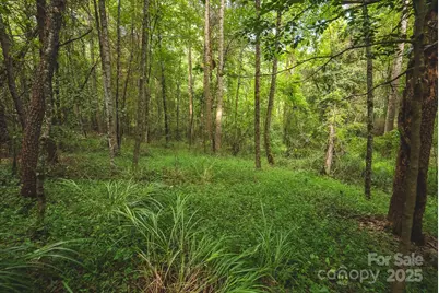 00 Johnson Ridge Road, Elkin, NC 28621 - Photo 11