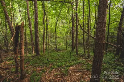 00 Johnson Ridge Road, Elkin, NC 28621 - Photo 9