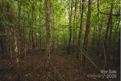00 Johnson Ridge Road, Elkin, NC 28621 - Photo 7