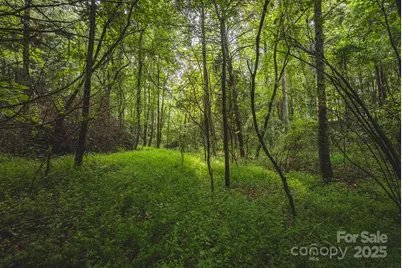 00 Johnson Ridge Road, Elkin, NC 28621 - Photo 17