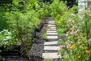 197 Chatham Rd, Asheville, NC 28804 - Photo 41