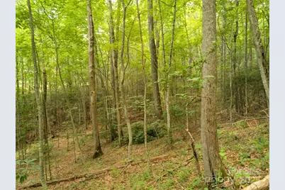 Lot 64 Hawks Nest Drive, Burnsville, NC 28714 - Photo 13