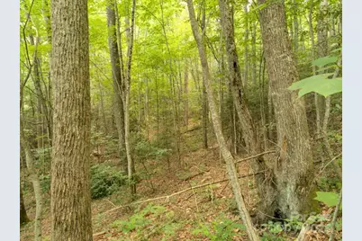 Lot 64 Hawks Nest Drive, Burnsville, NC 28714 - Photo 11