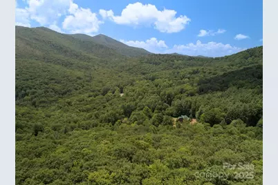 Lot 64 Hawks Nest Drive, Burnsville, NC 28714 - Photo 5