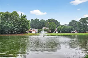 4713 Hanging Ivy Dr, Charlotte, NC 28215 - Photo 45