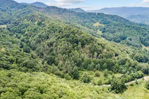 0000 Bee Log Rd, Burnsville, NC 28714 - Photo 9