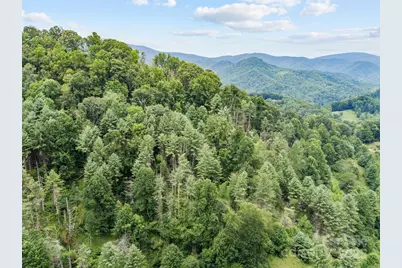 0000 Bee Log Road, Burnsville, NC 28714 - Photo 7