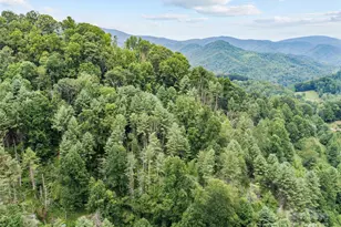 0000 Bee Log Rd, Burnsville, NC 28714 - Photo 7