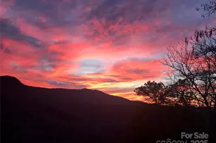 65 Timber Park Dr, Black Mountain, NC 28711 - Photo 45