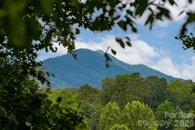 7 Bee Balm Way, Asheville, NC 28804 - Photo 7