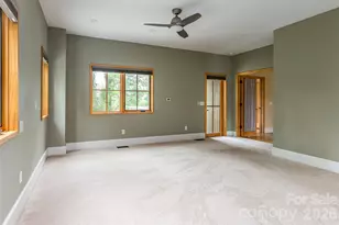 7 Bee Balm Wy, Asheville, NC 28804 - Photo 23