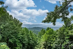 4415 Laurel Ridge Dr, Lenoir, NC 28645 - Photo 39