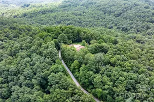 4415 Laurel Ridge Dr, Lenoir, NC 28645 - Photo 45