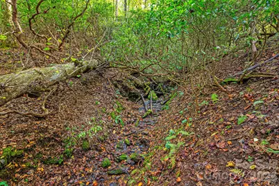 206 Willow Lane, Rosman, NC 28772 - Photo 29